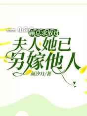 顾总求放过，夫人她已另嫁他人小说