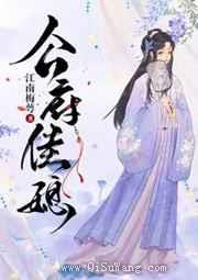 公府佳媳小说