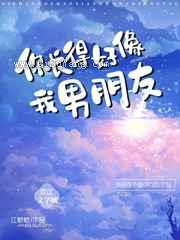 你长的好像我男朋友小说