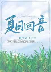 夏日回音小说