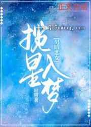 揽星入梦小说