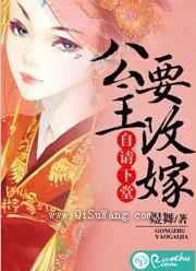 自请下堂：公主要改嫁小说