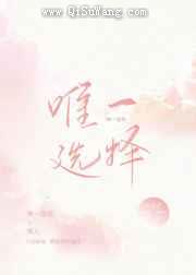 唯一选择小说