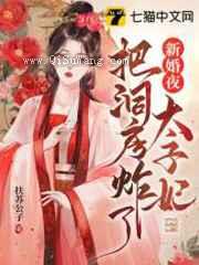 新婚夜太子妃把洞房炸了小说