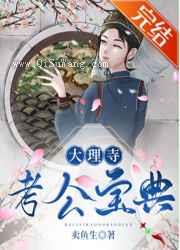 大理寺考公宝典小说