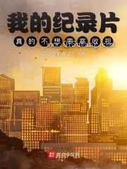 我的纪录片真的不想要高收视小说