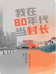 我在80年代当村长小说
