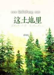这土地里小说