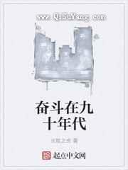 奋斗在九十年代小说