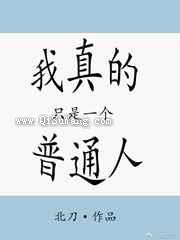 我真的只是一个普通人小说