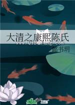 大清之康熙陈氏小说