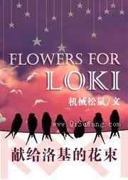 献给洛基的花束小说