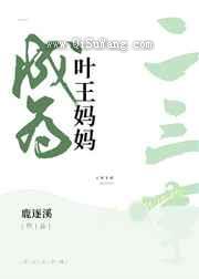 成为叶王妈妈的二三事小说