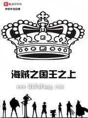 海贼之国王之上小说
