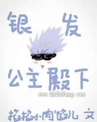 银发与公主殿下小说