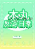 本丸反穿日常小说
