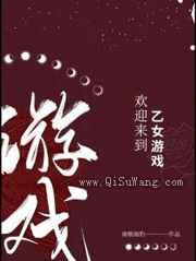 欢迎来到乙女游戏小说