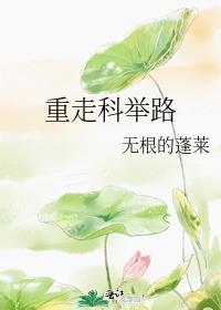 重走科举路小说