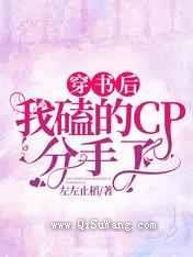 穿书后我磕的CP分手了小说