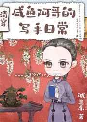清穿之咸鱼阿哥的写手日常小说