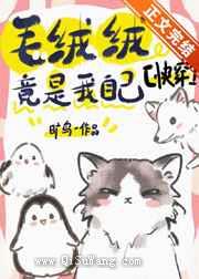 毛绒绒竟是我自己[快穿]小说