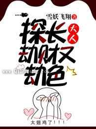 探长大人劫财又劫色小说