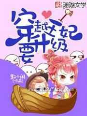 穿越王妃要升级小说