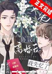 和大佬协议离婚后我失忆了小说