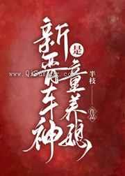 新晋车神是童养媳小说