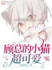 顾总的小猫超可爱小说