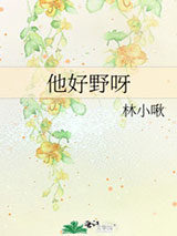 他好野呀小说