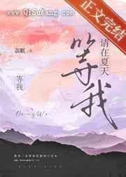 请在夏天等我小说