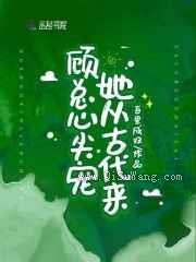 顾总心尖宠她从古代来小说