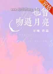 也曾吻过月亮小说