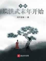 大明：从洪武末年开始小说