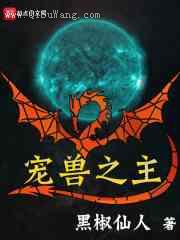 宠兽之主小说
