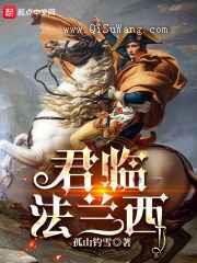 君临法兰西小说