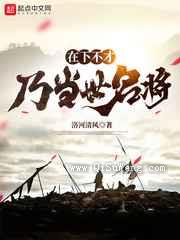 在下不才，乃当世名将小说