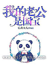 我的老公是国宝小说