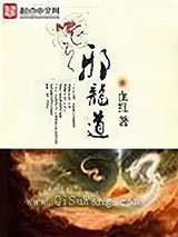 邪龙道小说