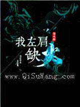我左肩缺火小说