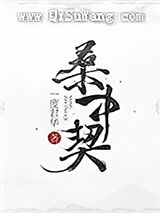 明月入君怀小说