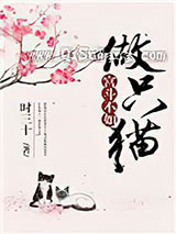 宫斗不如做只猫小说