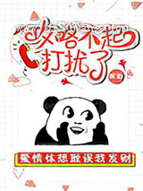 攻略不起打扰了小说