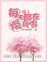 [综]每天都在樱吹雪小说