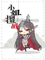 小姐擅战小说