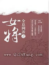 全息网游之女将小说