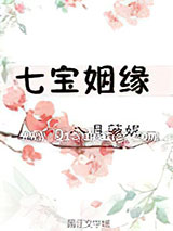 七宝姻缘小说