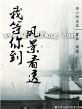 我等你到风景看透小说