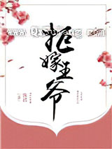 拒嫁王爷小说